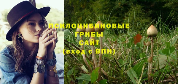 шишки Ростов