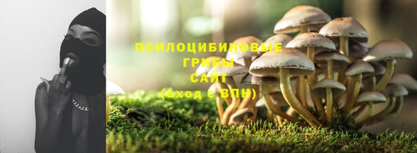 эйфоретик Рославль
