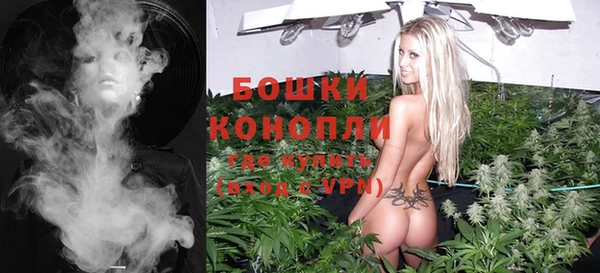 шишки Ростов