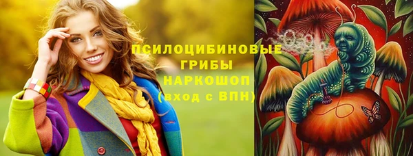 mdma Грязовец